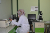 Laboratories of the Institute of Laser